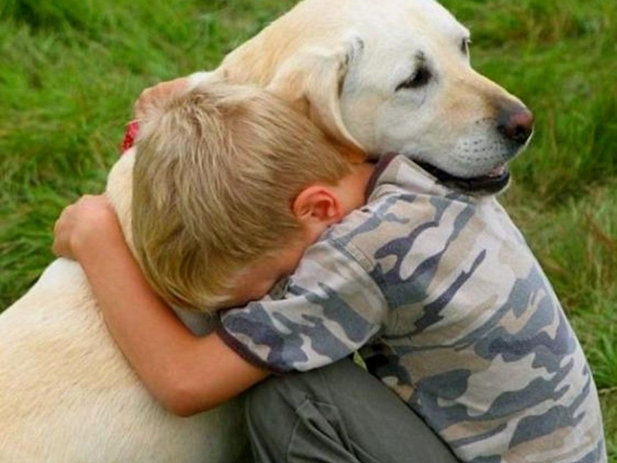 Cuál es el perro más pequeño