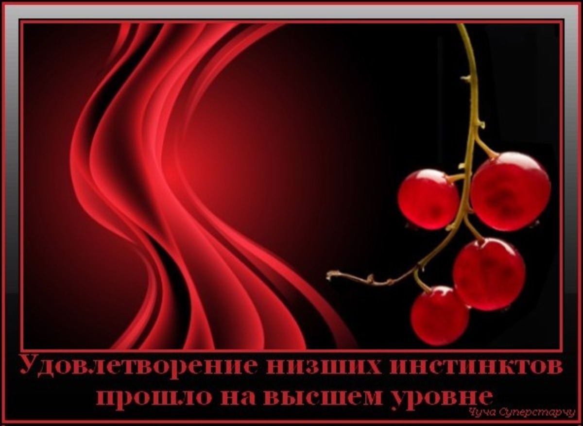 Иллюстрация к публикации
