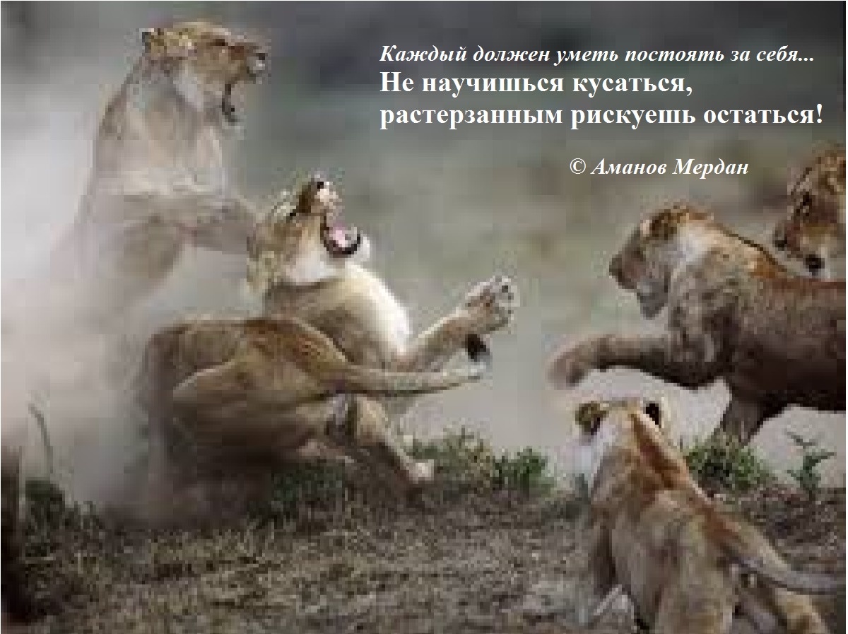 Иллюстрация к публикации