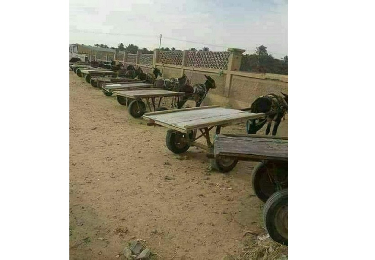 Иллюстрация к публикации