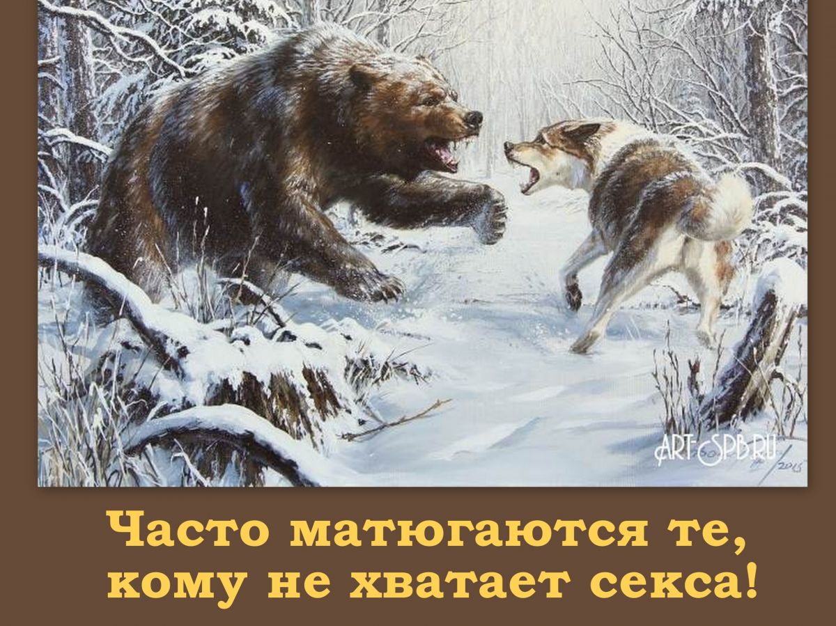Иллюстрация к публикации