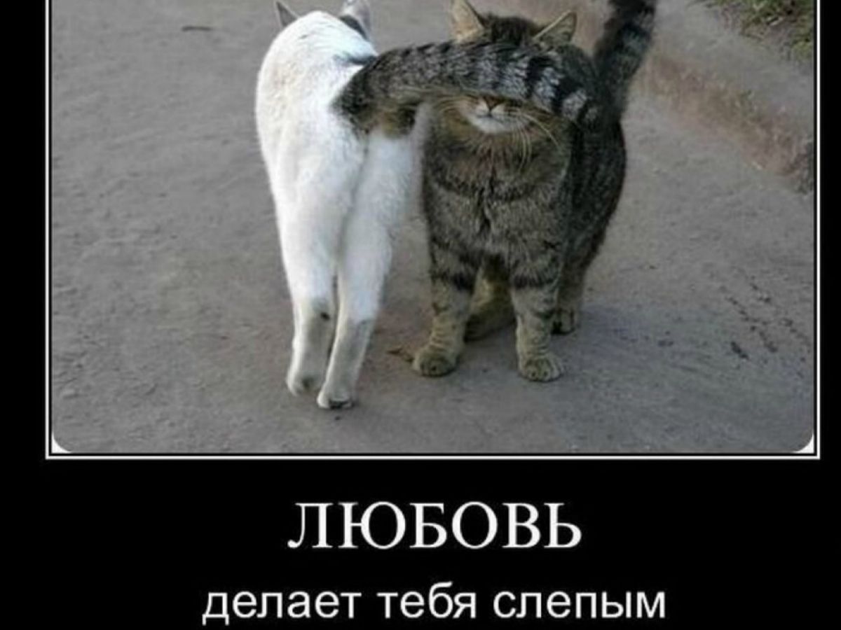 Иллюстрация к публикации