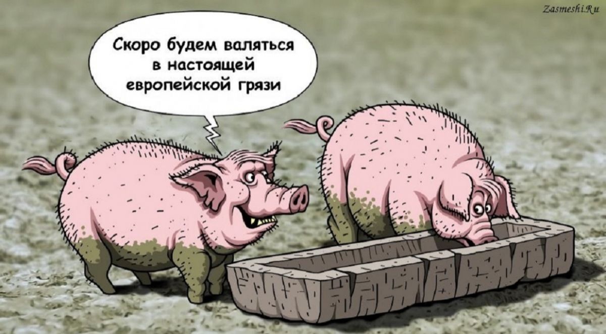 Иллюстрация к публикации