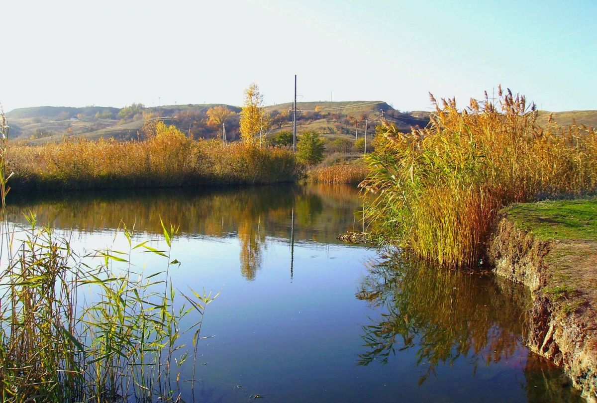 Константиновск село. Село Заря Донецкая область. Константиновский район. Белокалитвинский Константиновский район. Софиевка (Константиновский район) Днепропетровская обл..