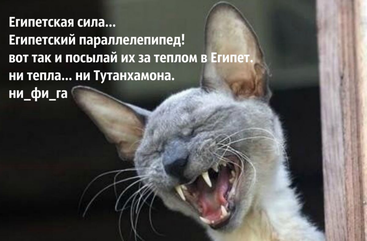 Иллюстрация к публикации