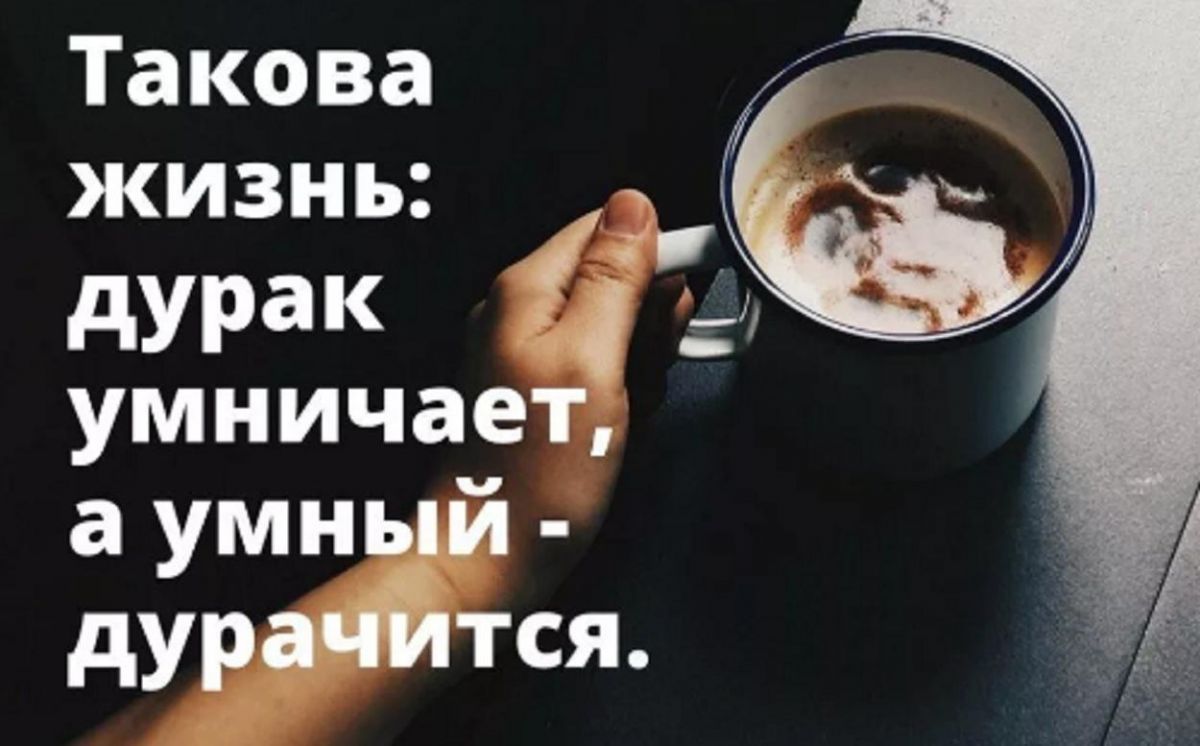 Такова жизнь. Такова жизнь дурак умничает а умный дурачится. Умный дурак. Поговорка умный не скажет дурак не поймет. Умный и дурак афоризмы.