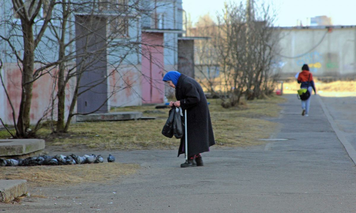 Иллюстрация к публикации