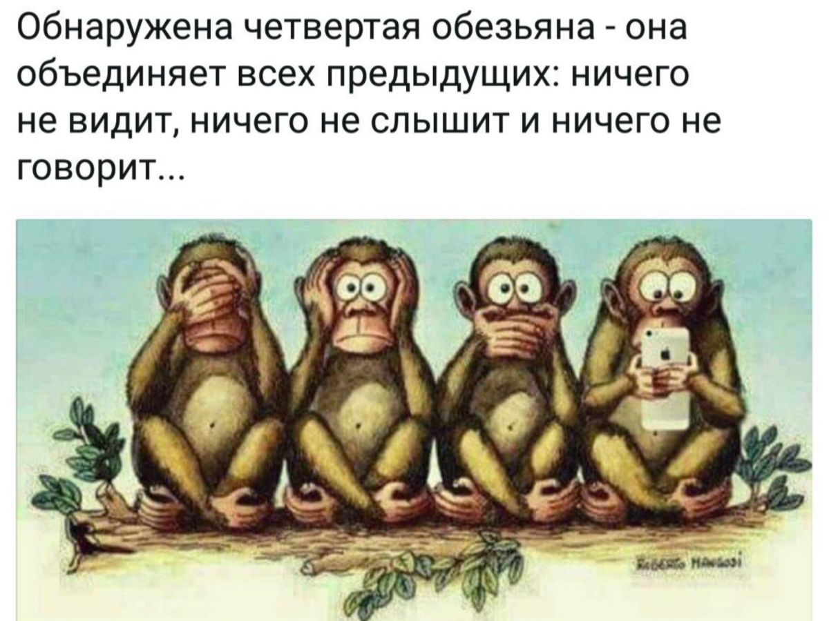 Иллюстрация к публикации