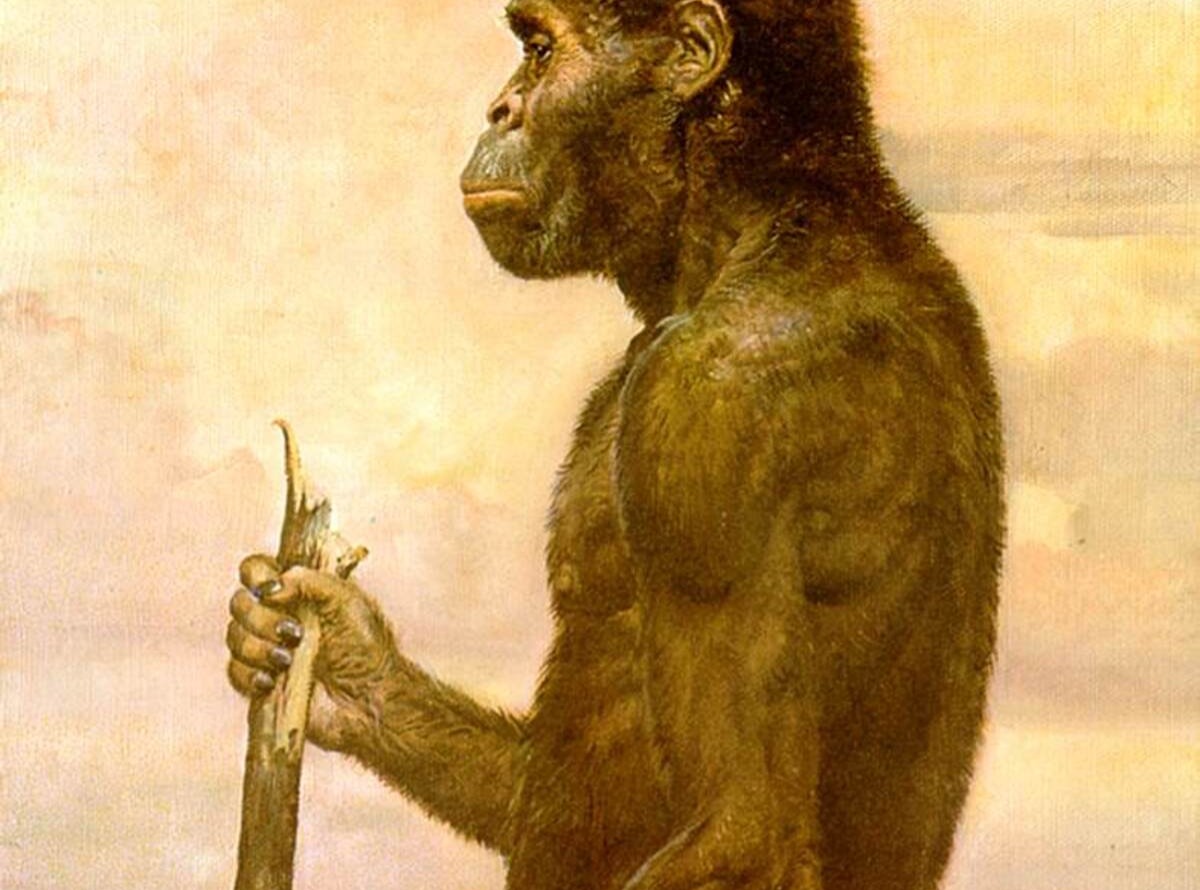 Человек 1 млн лет назад. Хомо сапиенс обезьяна. Австралопитек. Питекантроп дриопитек. Охота австралопитеков.