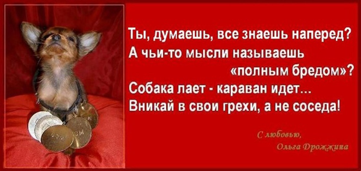 Собака лает караван идет пословица. Выражение собака лает. Собаки лают Караван идет. Собака гавкает Караван идет. Пословица собака лает Караван идет.