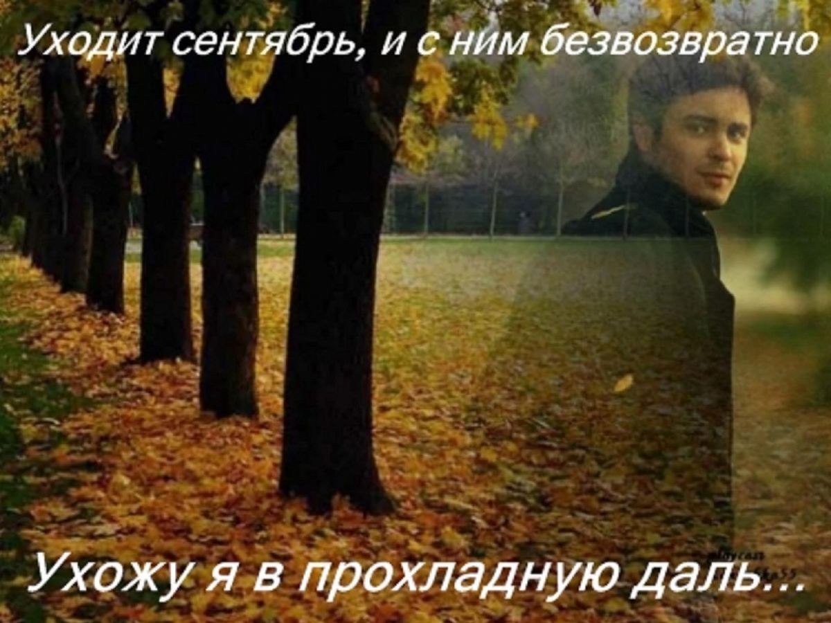 Я брел по осенней. Мужчина осень. Парень в осеннем парке. Одинокий мужчина в осеннем парке. Осень одиночество.