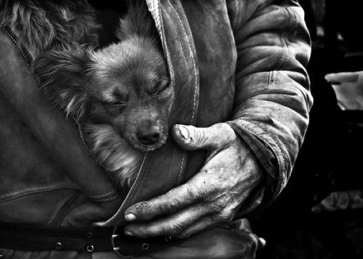 Редкостные люди. Сострадание к животным. Милосердие и животные. Человечность к животным. Добро собака.