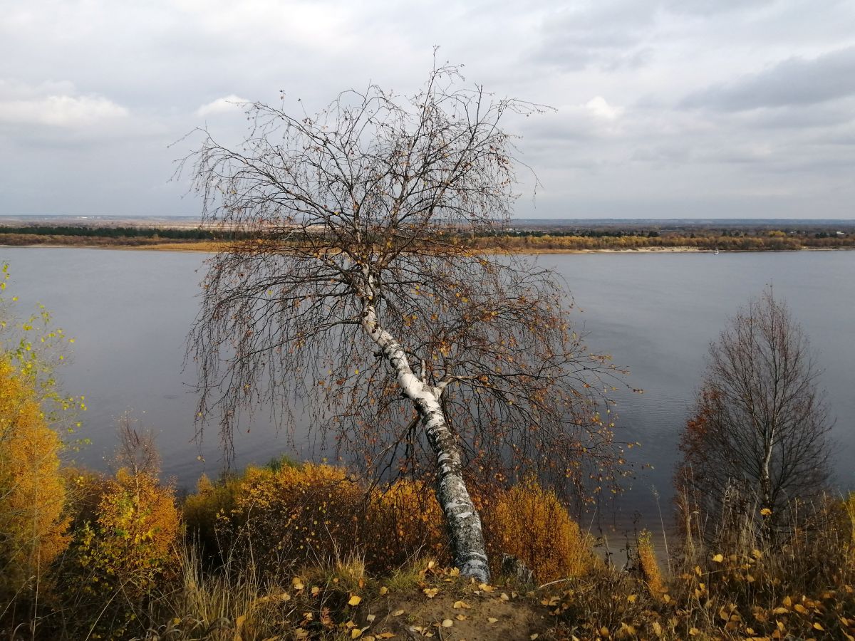 Иллюстрация к публикации