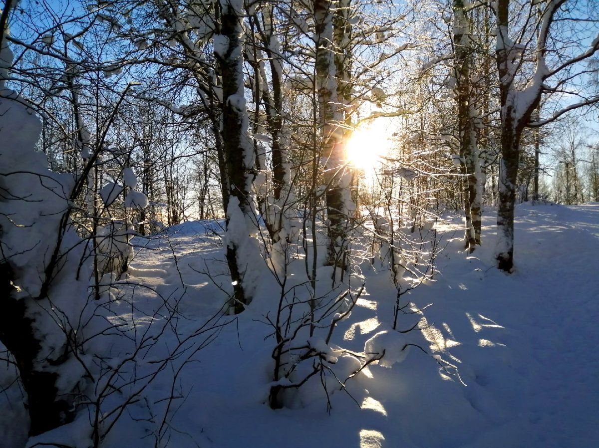 Иллюстрация к публикации