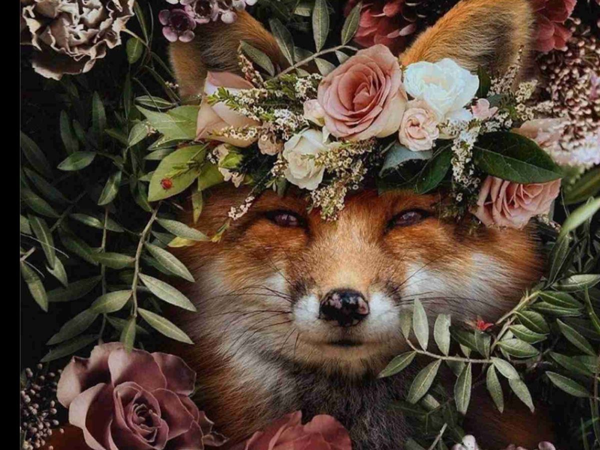 Иллюстрация к публикации