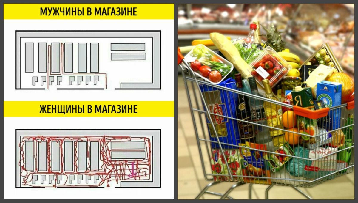 Иллюстрация к публикации