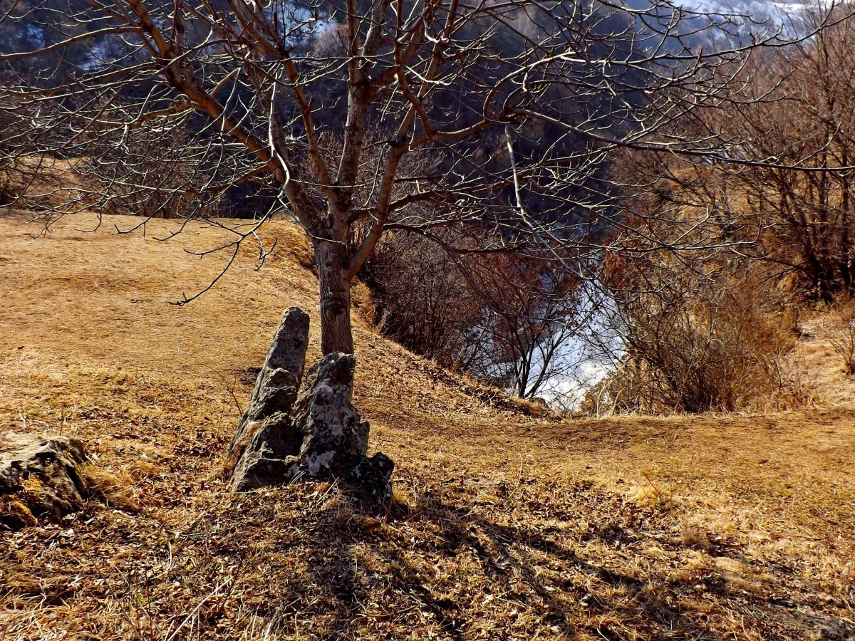 Иллюстрация к публикации