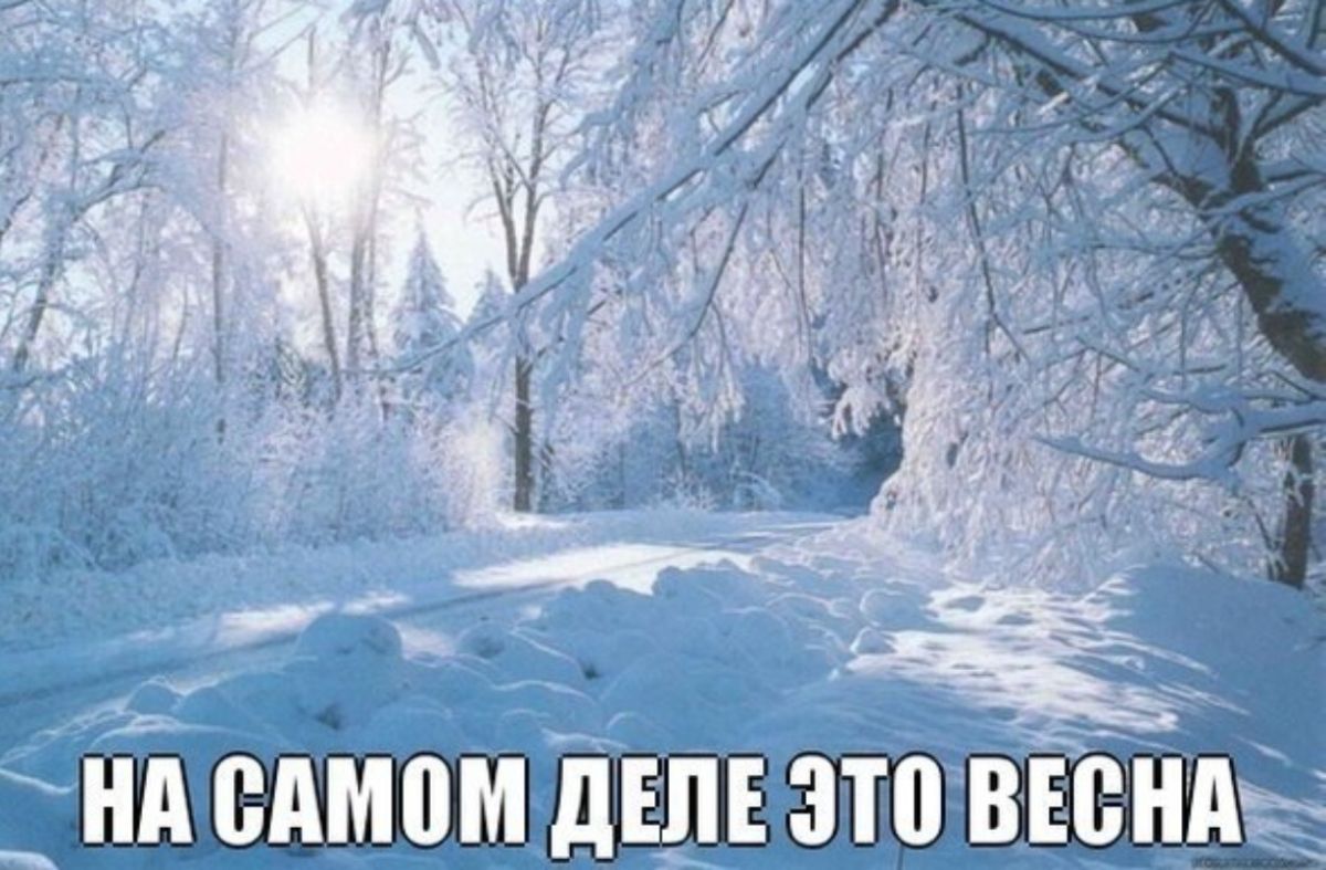 Иллюстрация к публикации