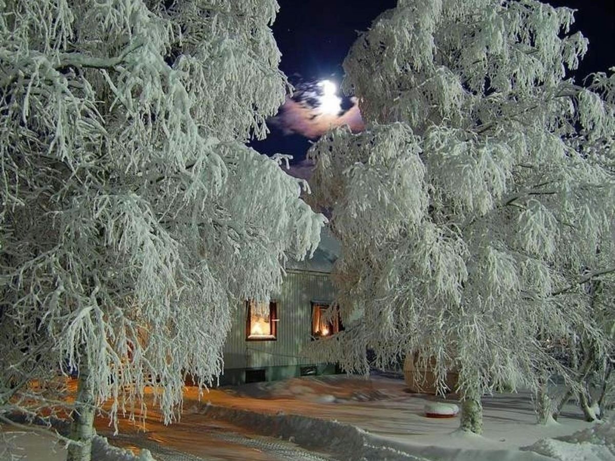 Звон мороза. Зимняя сказка. Зимний вечер. Сказочная зима. Иней на деревьях в городе.