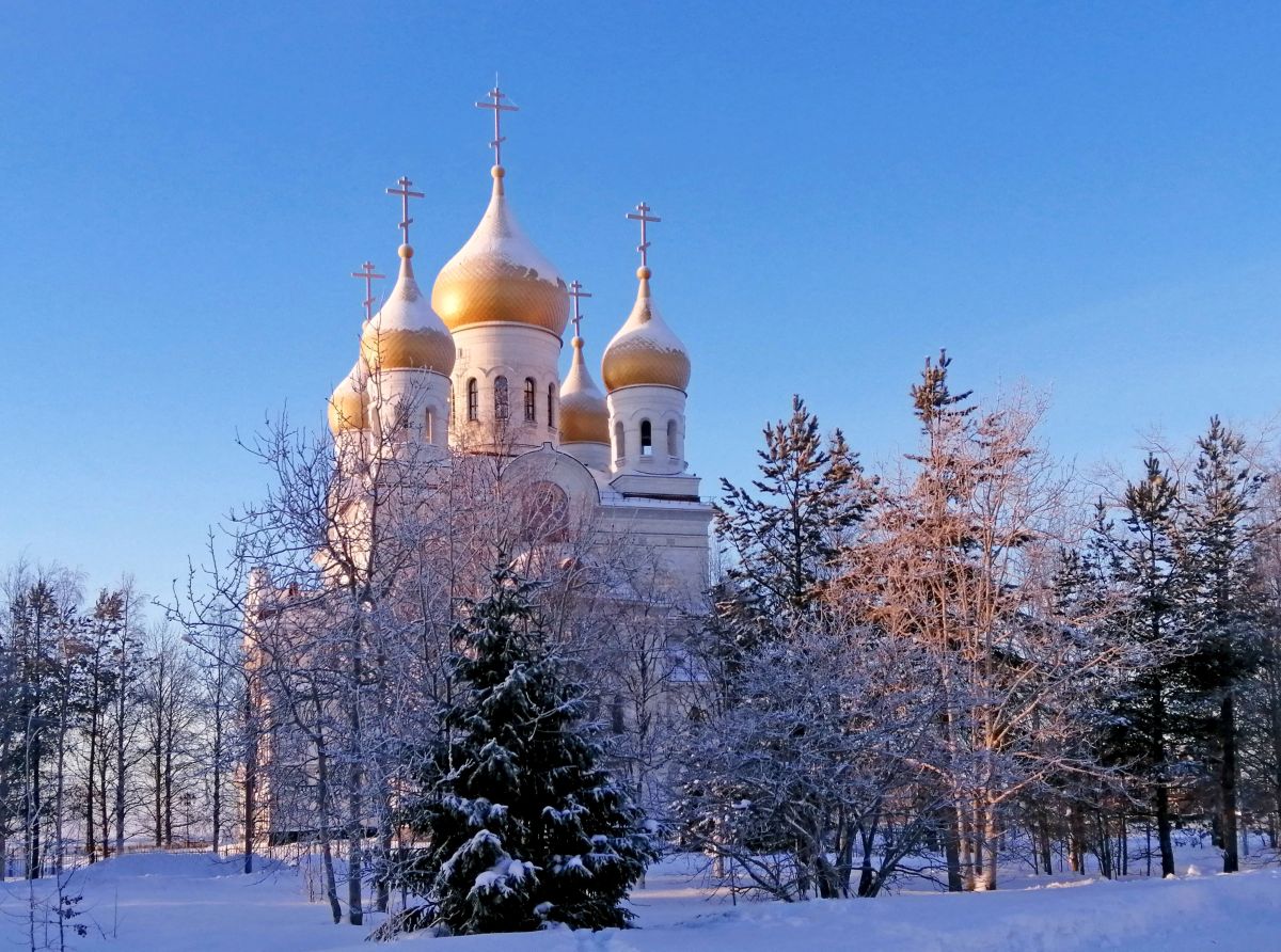 Иллюстрация к публикации