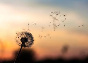 1724393-6800