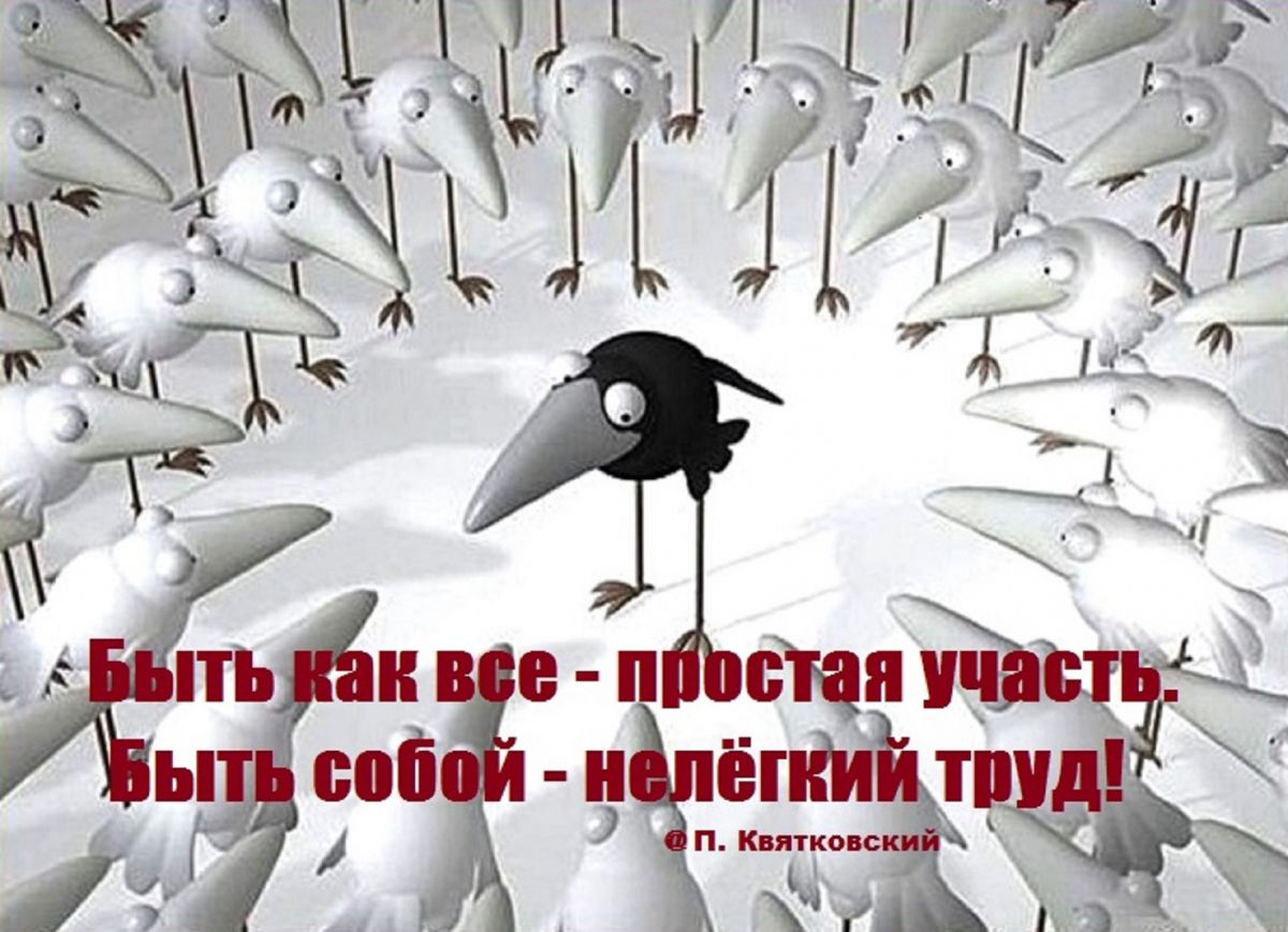 Иллюстрация к публикации