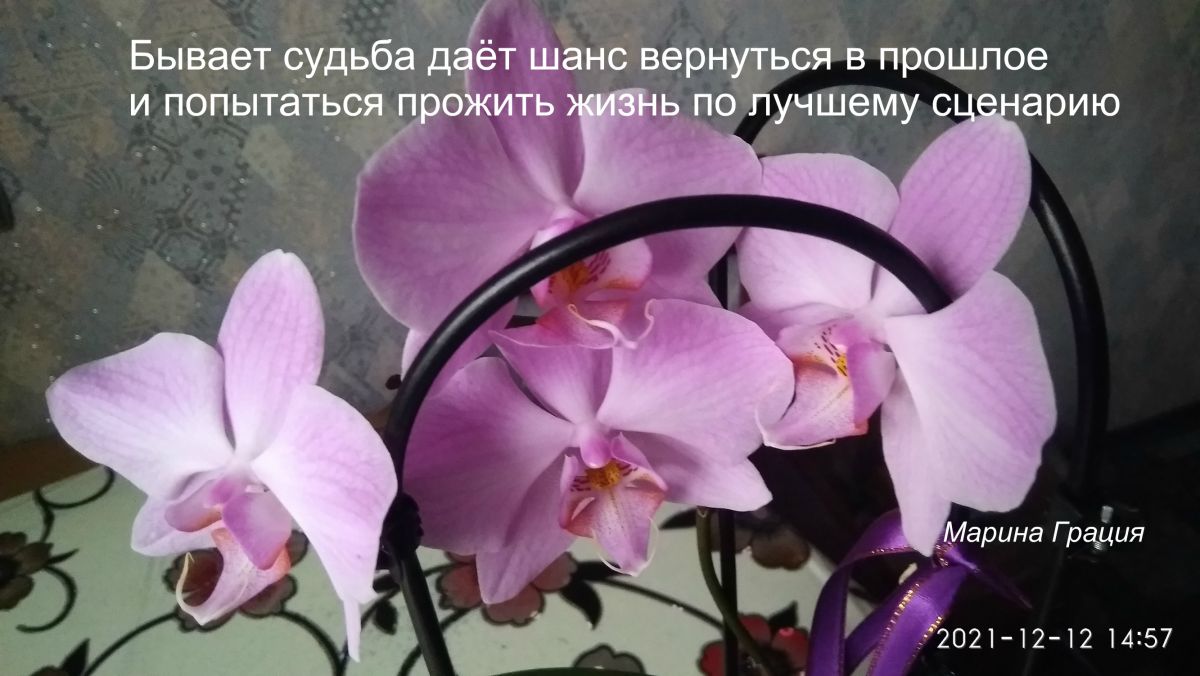 Иллюстрация к публикации