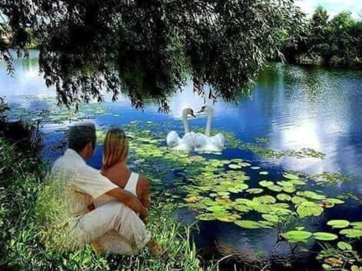 Живите в любви гармонии. Любовь к природе. Счастье природа. Счастье природа любовь. Красота любви.