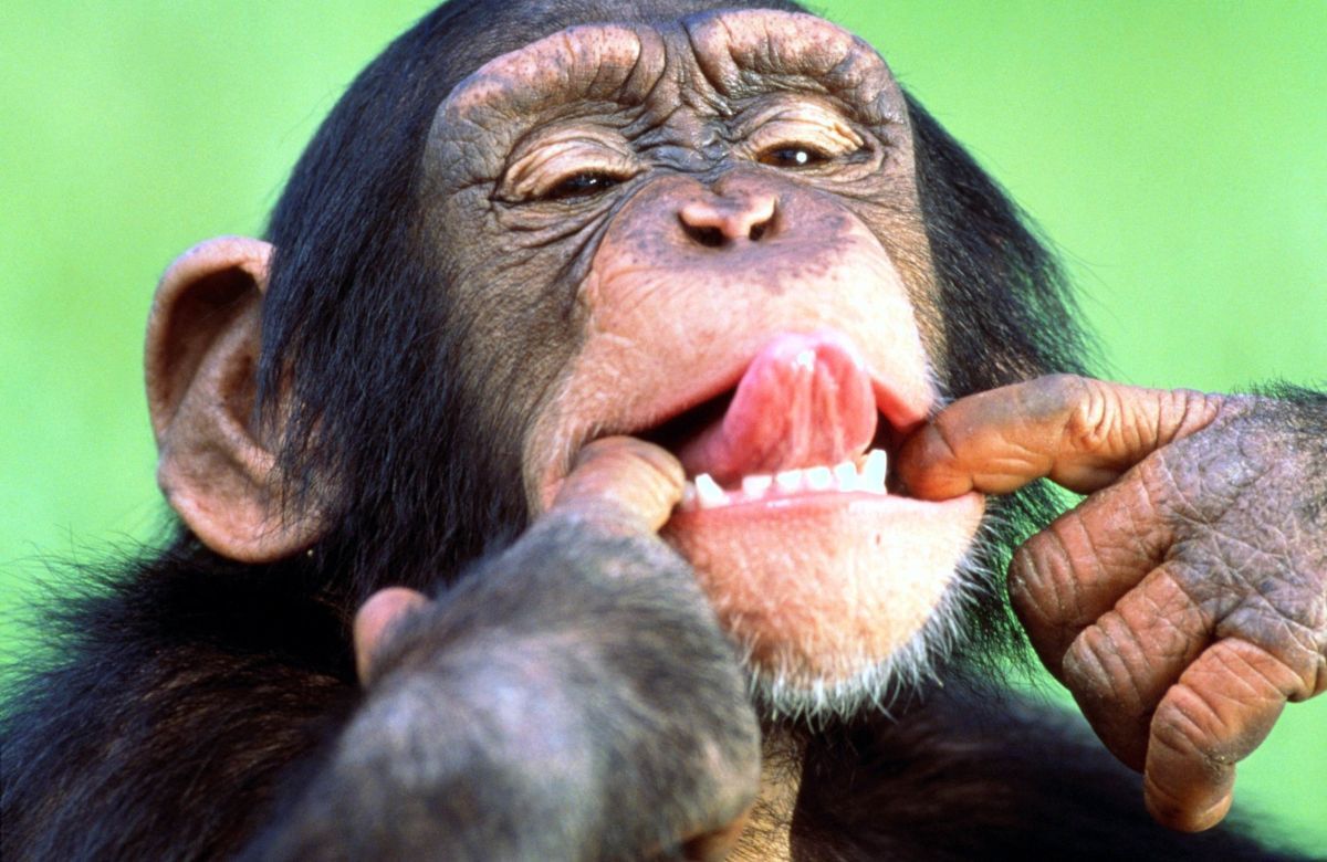 Иллюстрация к публикации