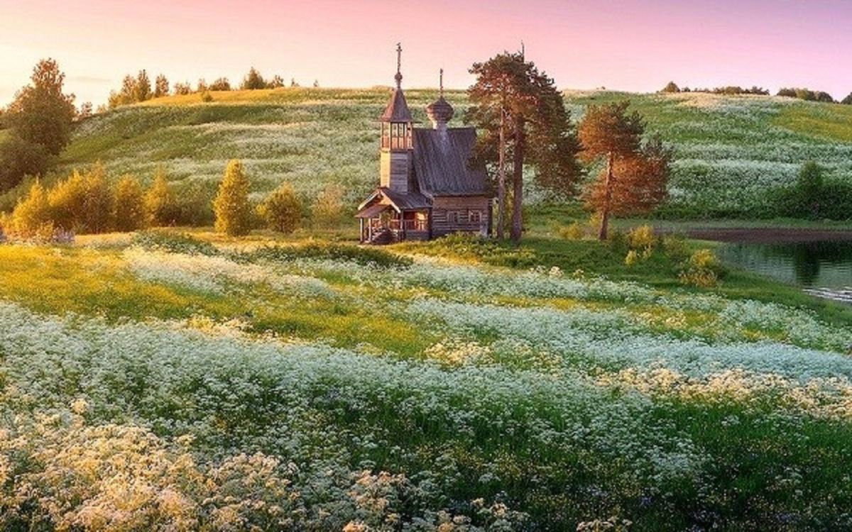Иллюстрация к публикации