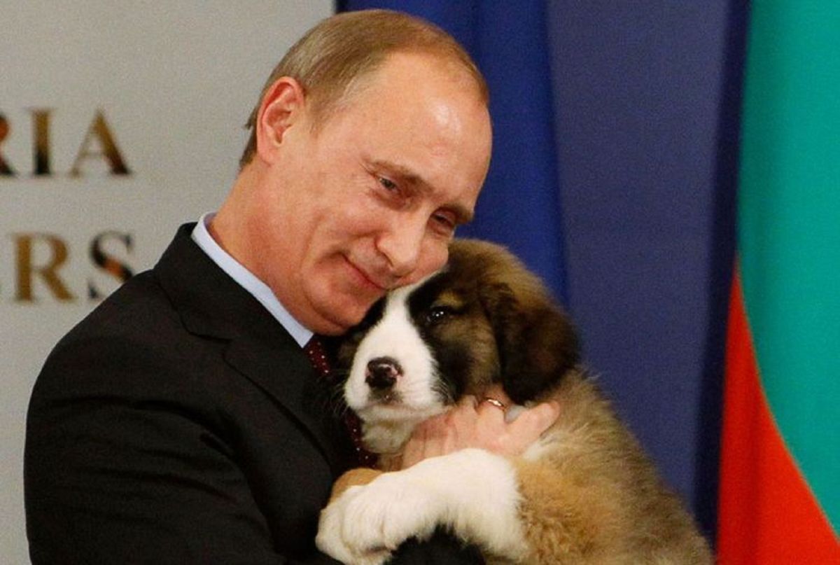 Иллюстрация к публикации