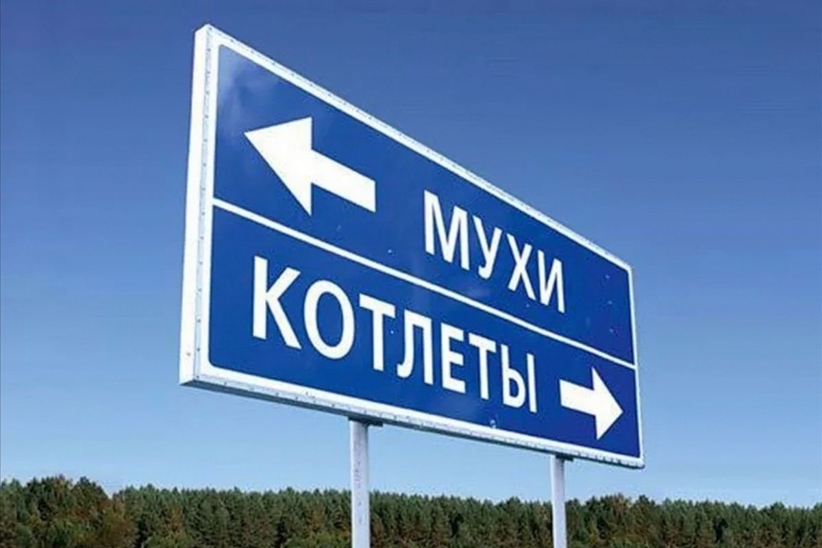 Иллюстрация к публикации