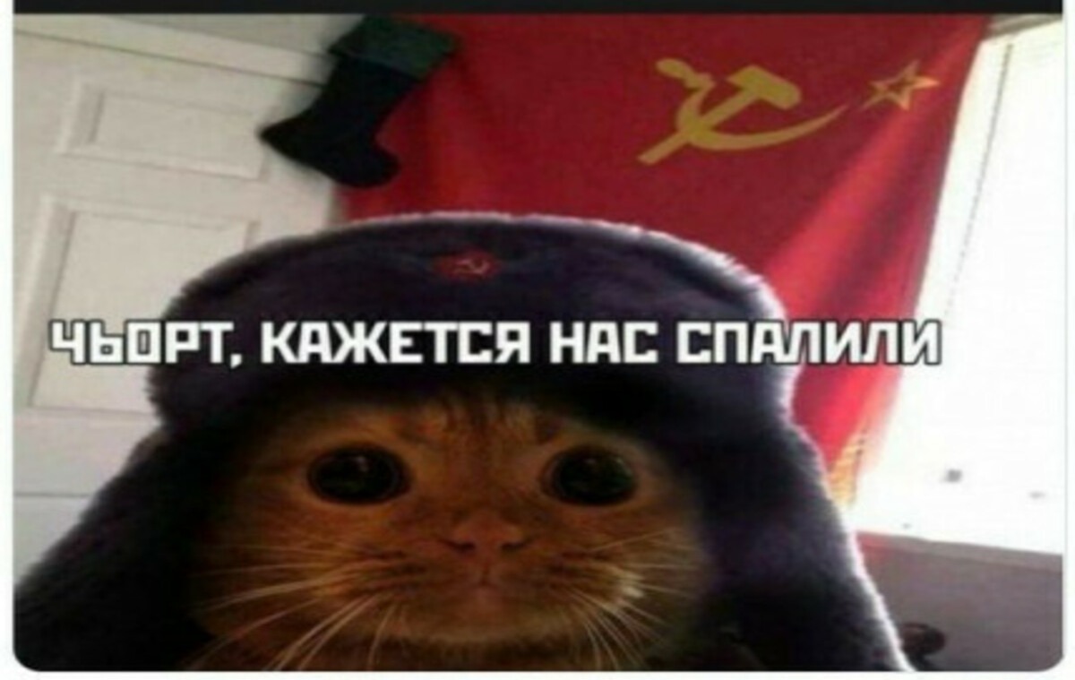 Иллюстрация к публикации