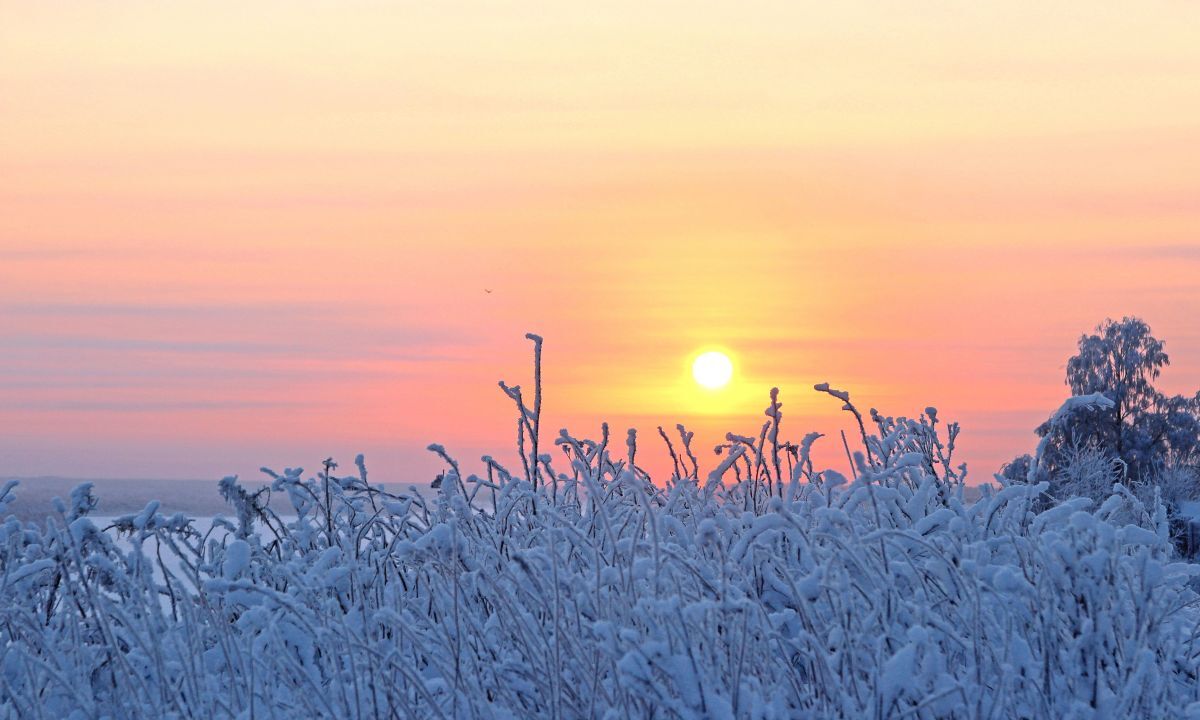 Иллюстрация к публикации