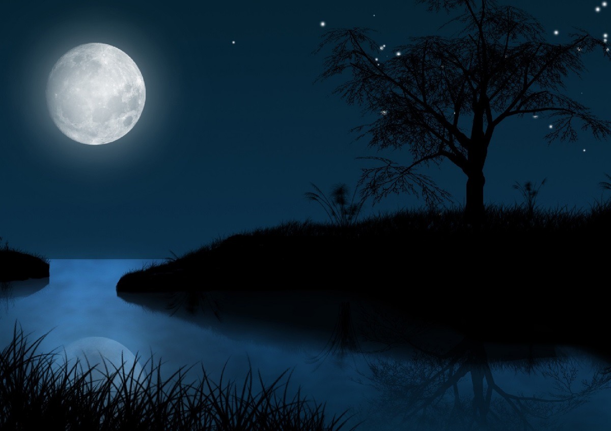 Ночь с луной 4. Пейзаж ночь. Лунная ночь. Лунный пейзаж. Ночь Луна.