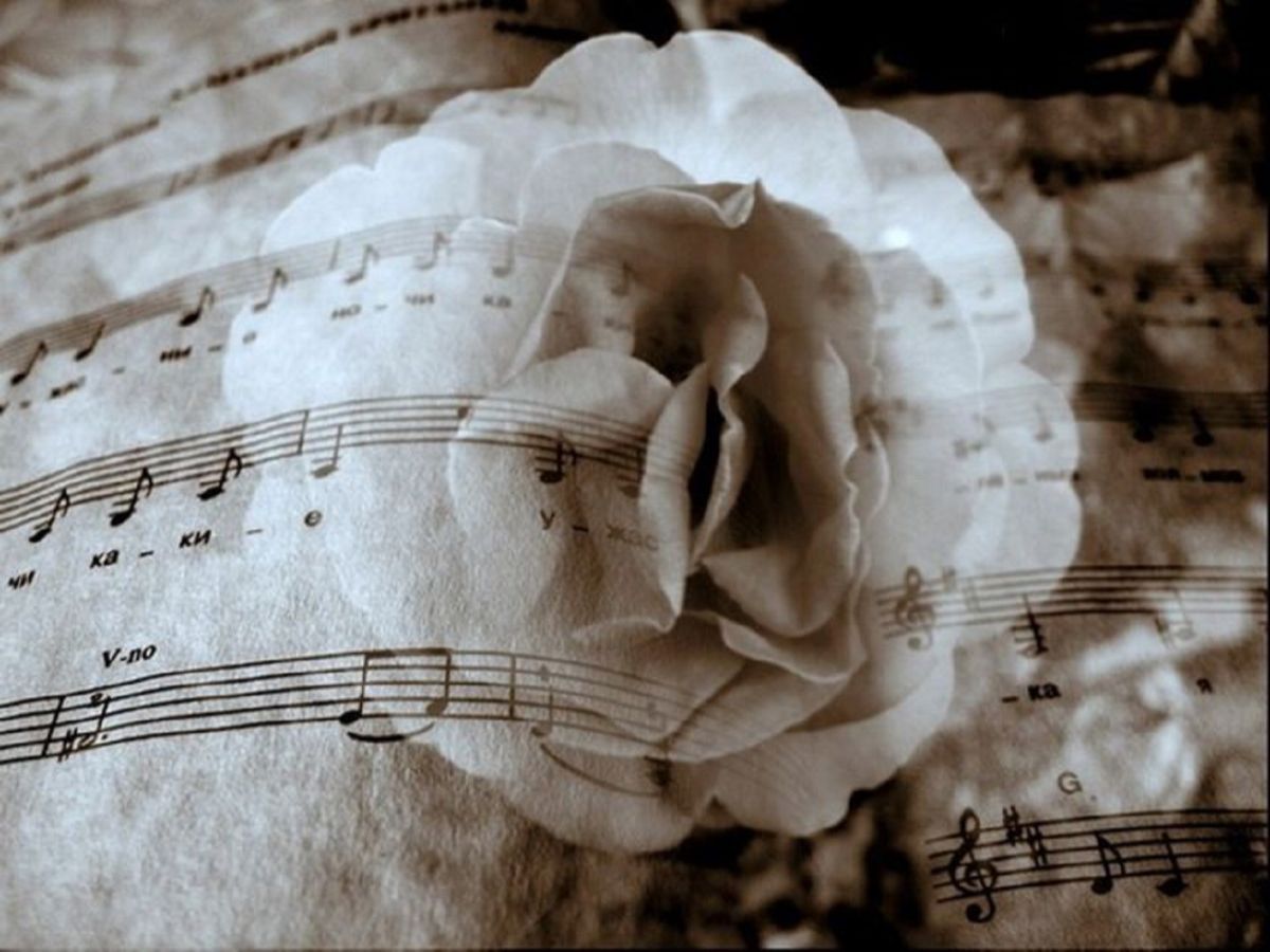 Песни от всей души 31.03 24. Мелодия души. Мелодия души картинки. Фото музыки души. Букет Ноты.