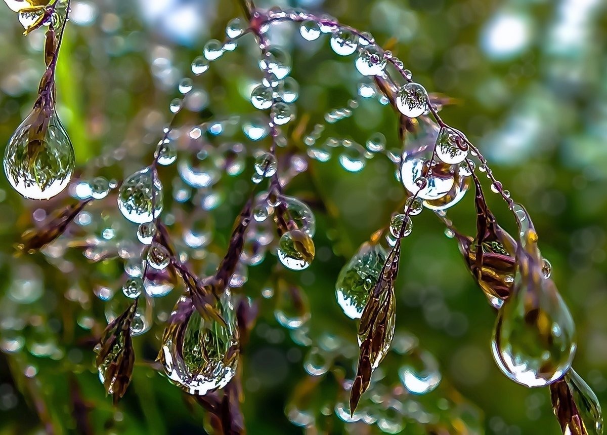 Иллюстрация к публикации