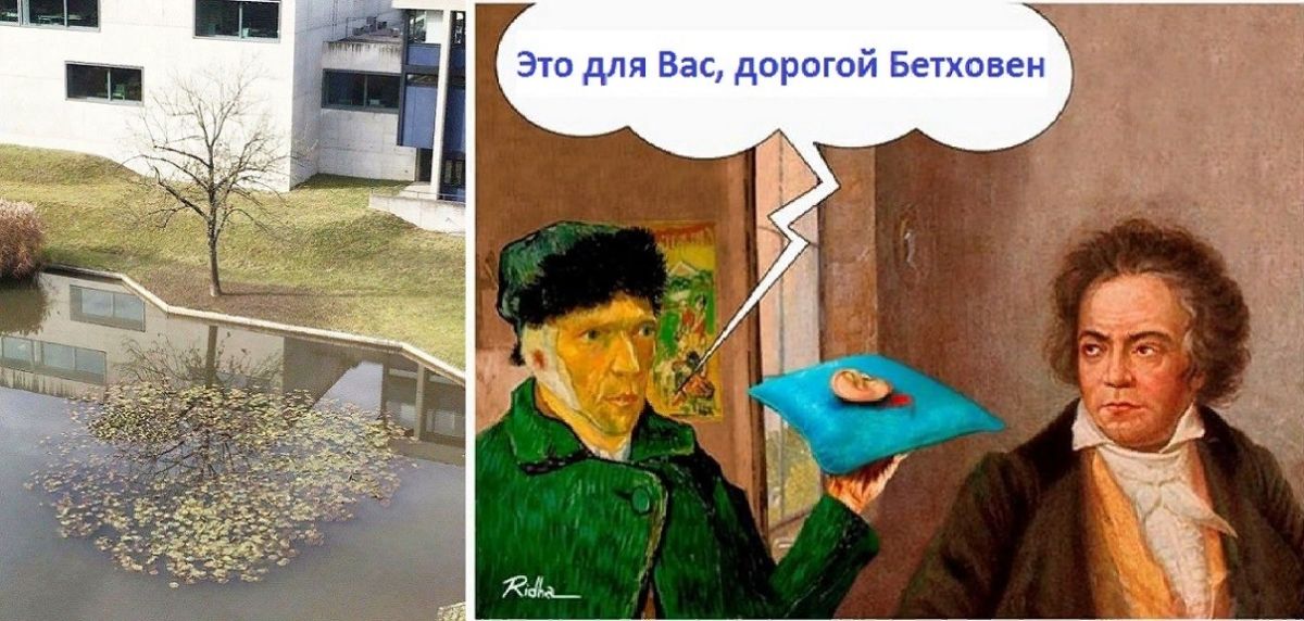 Иллюстрация к публикации