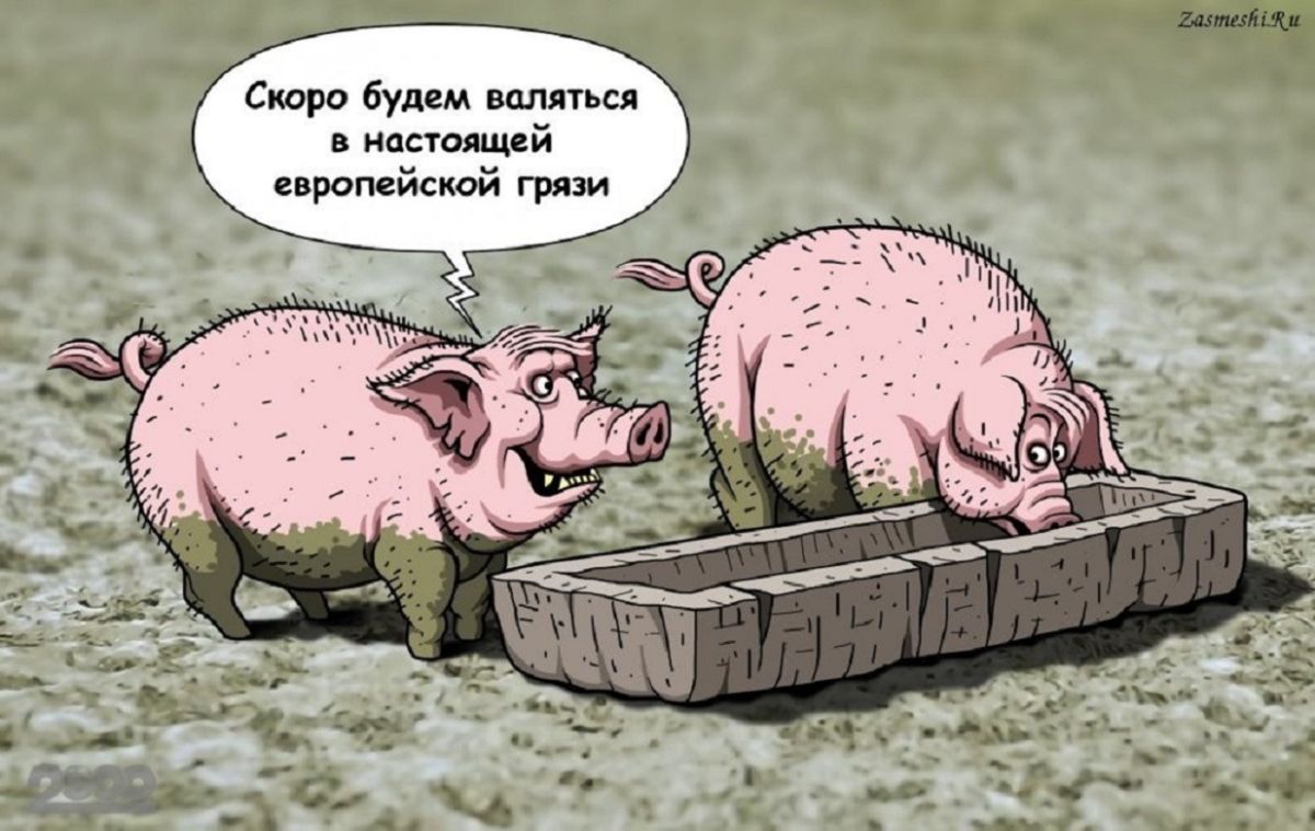 Иллюстрация к публикации