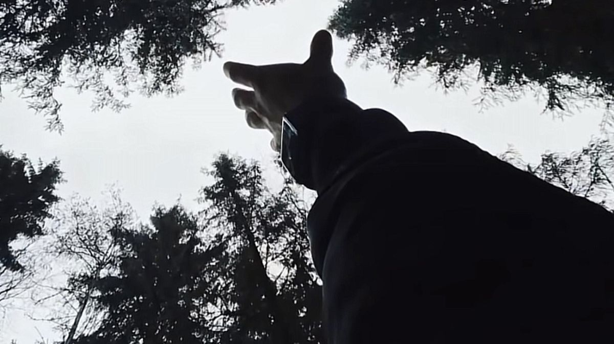 Иллюстрация к публикации