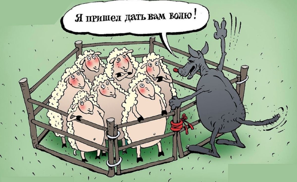 Иллюстрация к публикации