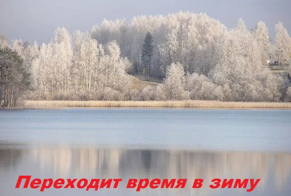 Иллюстрация к публикации