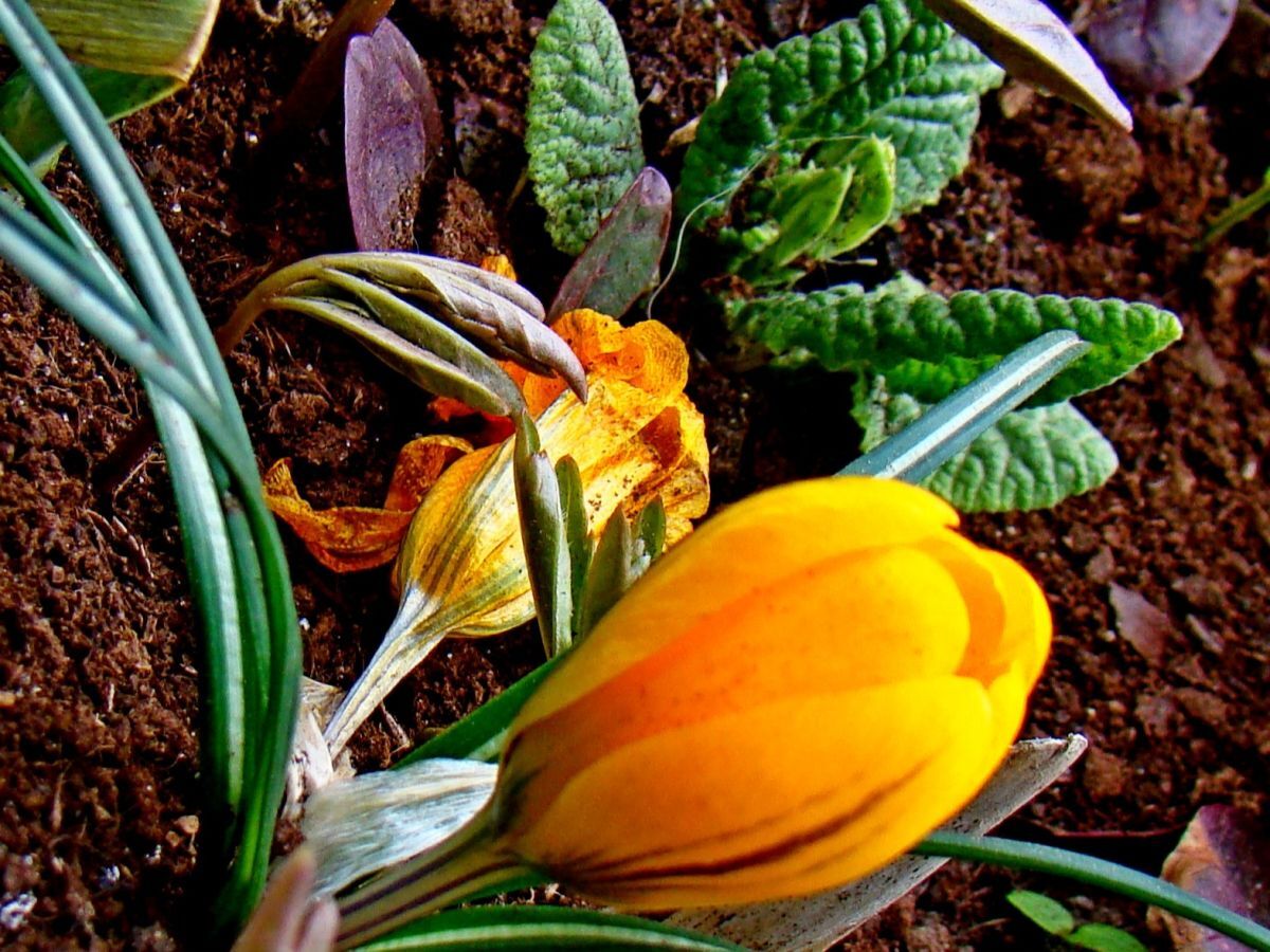 Иллюстрация к публикации