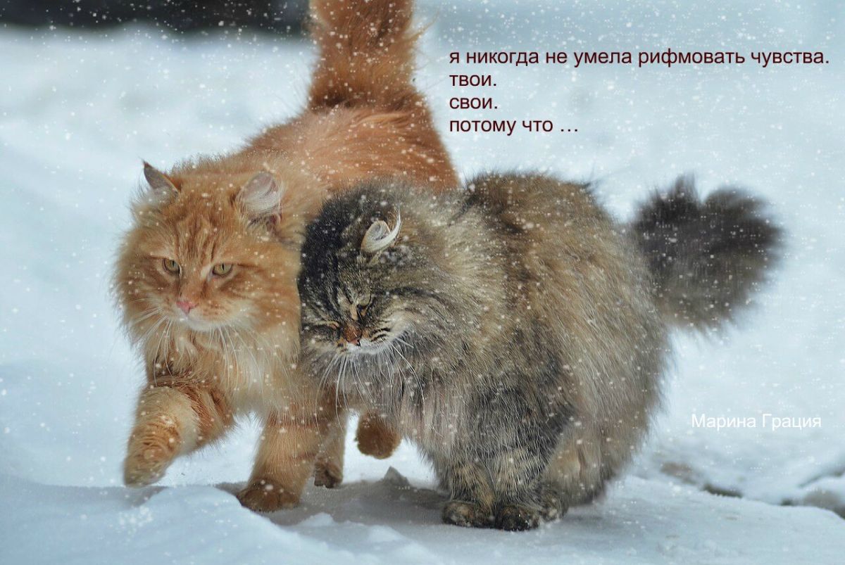 Иллюстрация к публикации