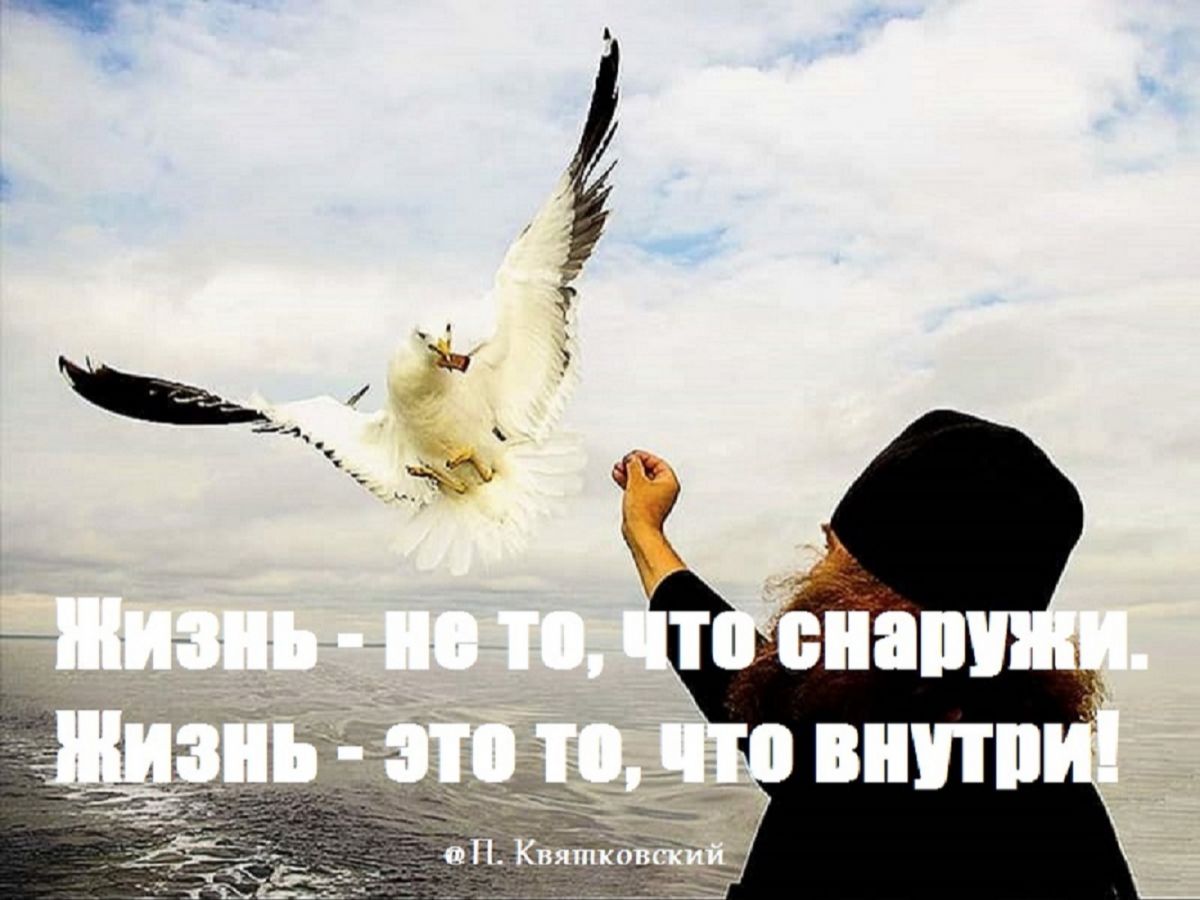 Иллюстрация к публикации
