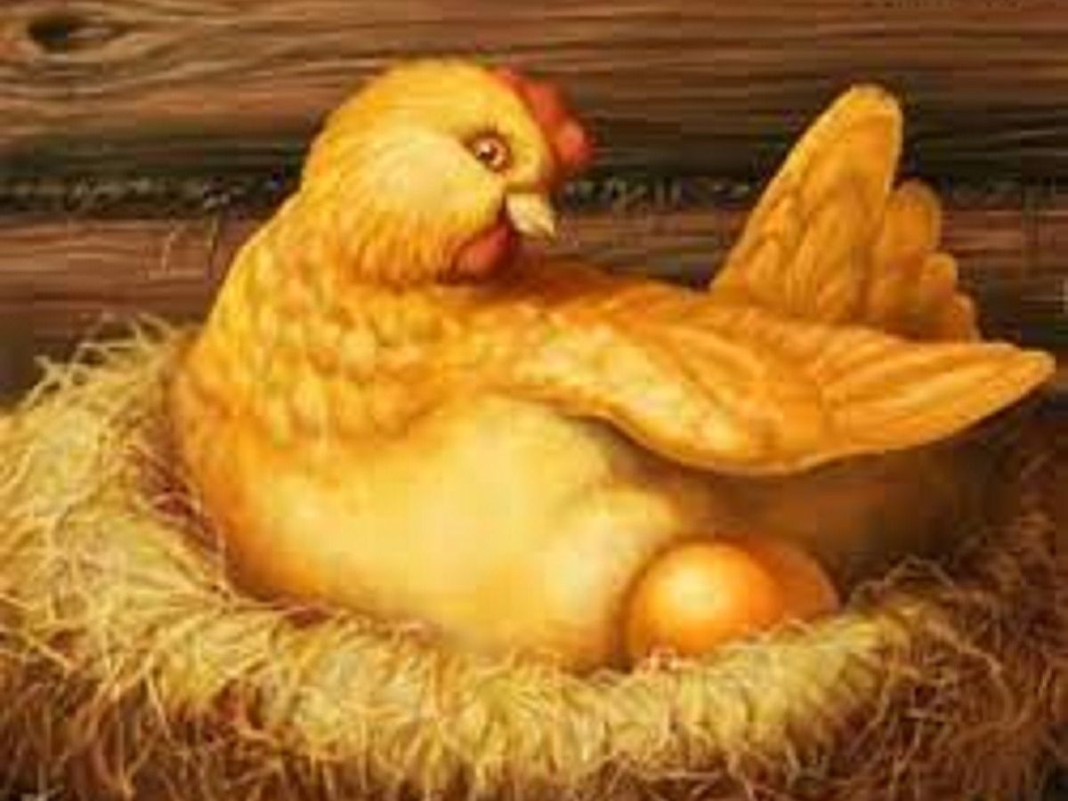 Золотая кура. Золотое яичко Курочка Ряба. Курица с золотыми яйцами. Курочка с золотыми яйцами. Курица Сказочная.