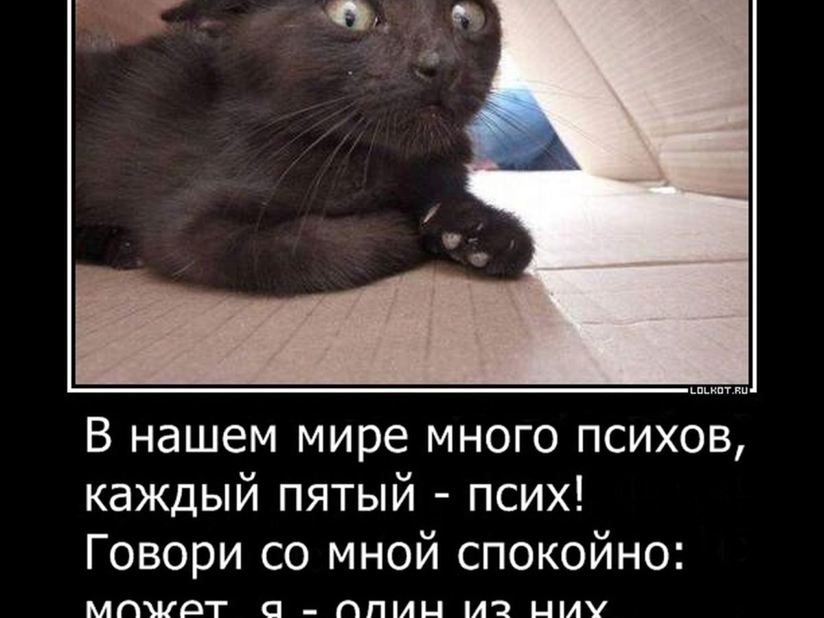 Иллюстрация к публикации