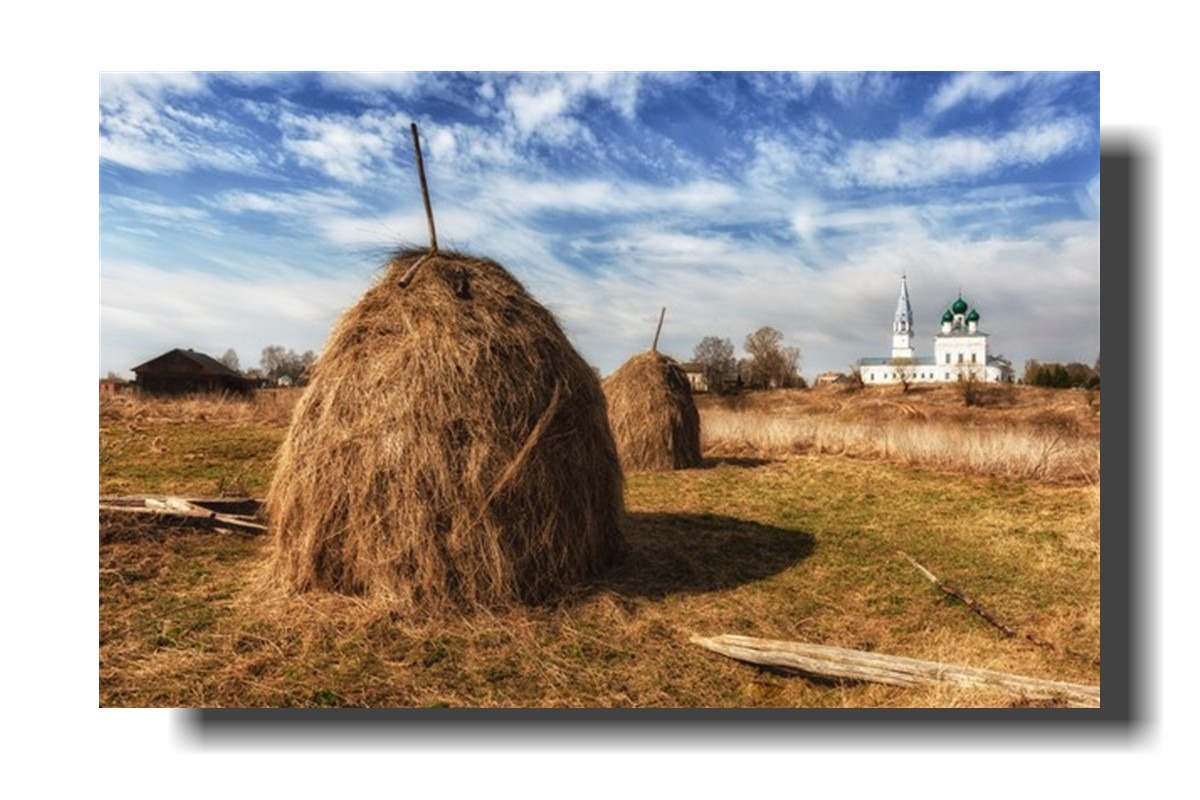 Иллюстрация к публикации