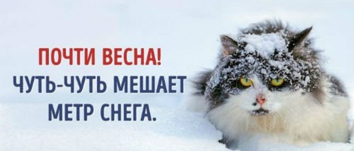 Русский человек ждет 3 вещи весну пятницу. Снежное утро понедельника. Шутки про зиму и весну. Зиму пережили.