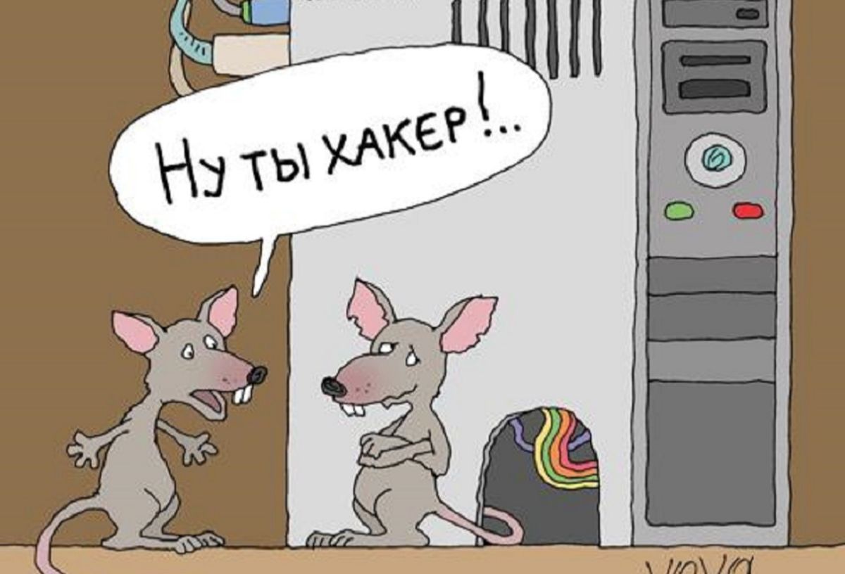 Иллюстрация к публикации